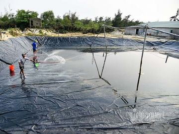 ‘Kho báu’ dưới đáy ao của ông chủ khách sạn, mỗi năm mò lên thu 34 tỷ