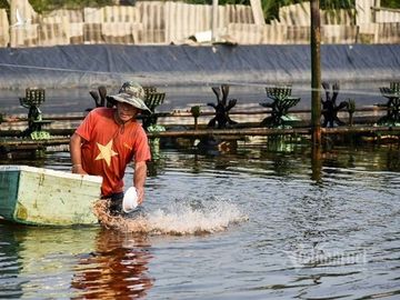 ‘Kho báu’ dưới đáy ao của ông chủ khách sạn, mỗi năm mò lên thu 34 tỷ