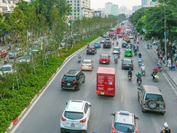 Hàng cây Phong trên đường Nguyễn Chí Thanh thời gian đầu mới trồng sinh trưởng tốt. Ảnh: Kiều Dương.