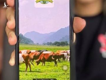 Hàng ngàn nhà đầu tư sập bẫy app “trang trại tiết kiệm” ngày 1.4 ẢNH: TRẦN TIẾN