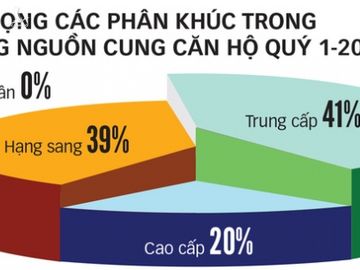 Đánh thuế được người có nhiều nhà, người ít tiền mới được an cư - Ảnh 2.