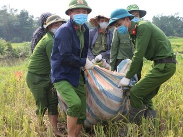 Công an xuống xã lội ruộng gặt lúa giúp các F1, F2 đang phải cách ly - Ảnh 5.