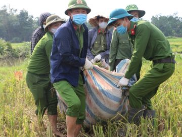 Cong an thu hoach lua giup dan anh 6