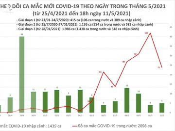 ca mac moi chieu 11