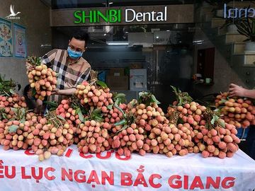 Vải thiều Bắc Giang được bán với giá 20.000 đồng/kg ở Thủ đô ảnh 3