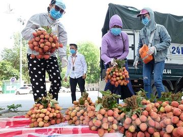 Vải thiều Bắc Giang được bán với giá 20.000 đồng/kg ở Thủ đô ảnh 5