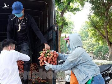 Vải thiều Bắc Giang được bán với giá 20.000 đồng/kg ở Thủ đô ảnh 6