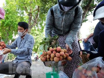 Vải thiều Bắc Giang được bán với giá 20.000 đồng/kg ở Thủ đô ảnh 11