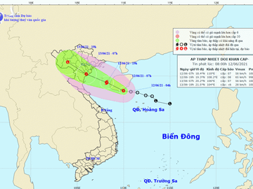 Sáng mai 13-6, bão vào đất liền ảnh 1
