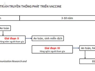 Tiến sĩ Việt tại Úc: Vaccine NanoCovax thử nghiệm giai đoạn 3 là thành công lớn; 2 giải pháp cần làm để vừa chạy vừa xếp hàng - Ảnh 4.