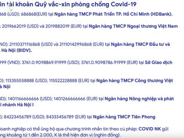 Bộ trưởng Hồ Đức Phớc: Sẽ công khai tổ chức, cá nhân cam kết nhưng không chuyển tiền vào Quỹ vaccine phòng, chống Covid-19 - Ảnh 2.