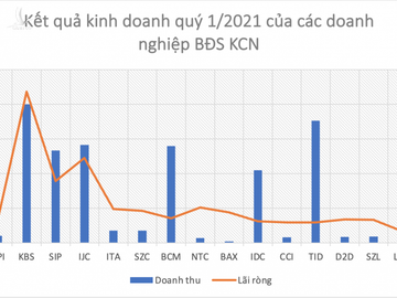 Vingroup nhảy vào bất động sản công nghiệp, doanh nghiệp bất động sản công nghiệp hiện đang ra sao? - Ảnh 3.