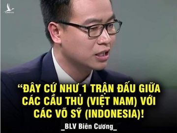 BLV Tạ Biên Cương và VTV nói gì khi bị chỉ trích nặng nề sau trận Việt Nam – Indonesia? - Ảnh 2.