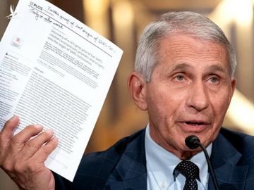 Tiến sĩ Anthony Fauci, giám đốc Viện Dị ứng và Bệnh truyền nhiễm Quốc gia, phát biểu tại Thượng viện, ngày 27/7. Ảnh: NY Times