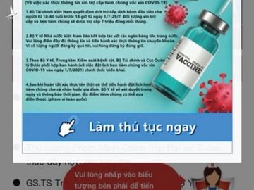 Xuất hiện trang web giả mạo Bộ Y tế để lừa đảo người khó khăn hưởng trợ cấp Covid-19 - Ảnh 1.