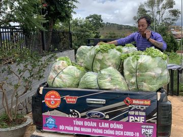 Vận chuyển rau rừ vườn về điểm tập kết /// Lâm Viên