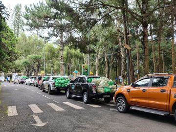 115 tấn rau, củ, quả hướng về vùng dịch Covid-19 TP.HCM và Phú Yên - ảnh 3