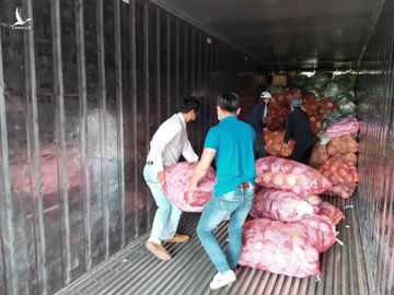 115 tấn rau, củ, quả hướng về vùng dịch Covid-19 TP.HCM và Phú Yên - ảnh 13