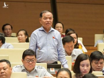 Từ vụ bánh mì ở Nha Trang, đại biểu yêu cầu giám sát bổ nhiệm cán bộ - Ảnh 1.