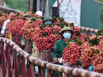 TS Nguyễn Đức Kiên chỉ ra điểm chung đặc biệt trong mọi hành động của Chính phủ trong 100 ngày đầu tiên - Ảnh 12.