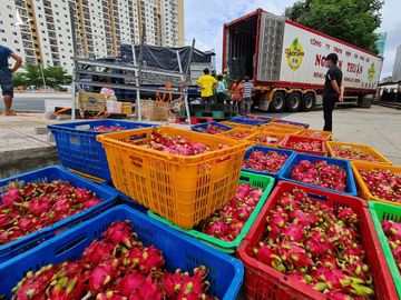 Vận chuyển thanh long Bình Thuận và nhu yếu phẩm phát tặng bà con khó khăn tại một số khu vực phong tỏa ở TP.HCM ngày 23.7 /// ẢNH: ĐÌNH PHÚ