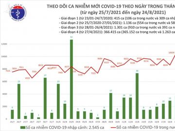 Tối 24/8: Thêm 10.811 ca COVID-19, TP Hồ Chí Minh và Bình Dương đã có đến 8.255 ca - Ảnh 1.