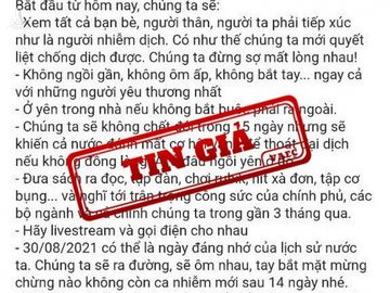 Xuất hiện phát ngôn giả của Phó Thủ tướng Vũ Đức Đam trên mạng xã hội - ảnh 1