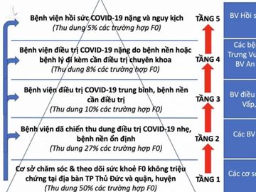 Giải bài toán tử vong do Covid-19