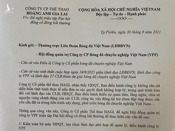 Bầu Đức muốn đuổi sếp VPF, sẵn sàng bỏ tiền túi trả lương trăm triệu cho người thay thế - Ảnh 2.