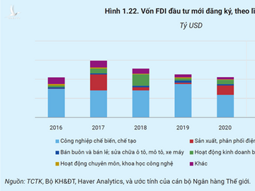 Chuyên gia quốc tế: Không có chuyện doanh nghiệp FDI rời bỏ Việt Nam - Ảnh 1.