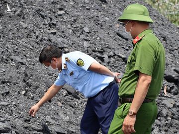 ‘Đại gia’ lan đột biến nổi tiếng trên mạng bị bắt vì khai thác hàng triệu tấn than lậu - Ảnh 2.