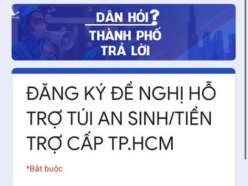 Người dân TPHCM phát tín hiệu cần hỗ trợ trực tuyến để nhận tiền mặt, túi an sinh ảnh 1