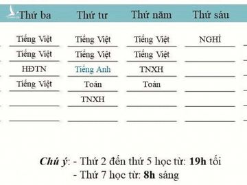 Phụ huynh than trời con lớp 1 học online 4 - 5 tiết/ngày, ngược với quy định - 1