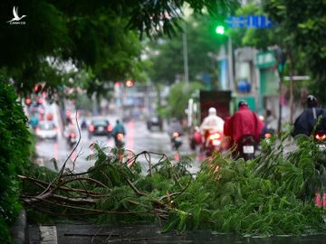 Ha Noi mua lon duong pho van dong anh 8