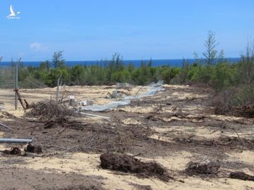 Phá 5,26 ha rừng phòng hộ làm nhà máy điện: Làm lén lút, sao gọi là nhầm lẫn? - Ảnh 1.