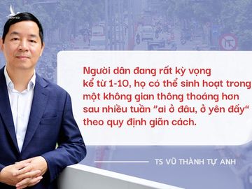 TS Vũ Thành Tự Anh: TP.HCM cần 4 yếu tố để mở cửa thành công từ 1-10 - ảnh 3