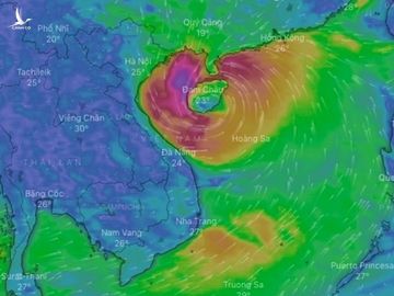 Vị trí của bão số 8. Ảnh: WINDY.