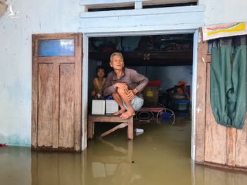 Hàng ngàn căn nhà bị ngập, sạt lở cao tốc Đà Nẵng - Quảng Ngãi - ảnh 5