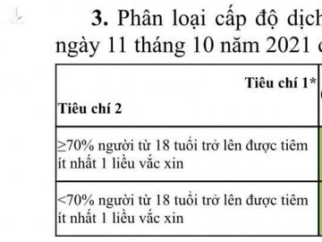 Chỉ 2 nhóm cần xét nghiệm sàng lọc Covid-19 khi đi lại giữa các địa phương - ảnh 2