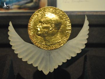 Người Việt Nam duy nhất từ chối Giải Nobel Hòa bình là ai? - Ảnh 1.