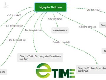  NÓNG: Chủ tịch Vimedimex Nguyễn Thị Loan bị bắt - Ảnh 3.