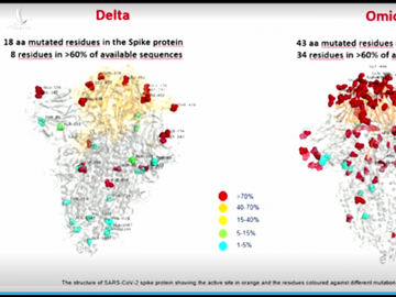Italy công bố hình ảnh đầu tiên của biến thể Omicron, chứng minh nguy hiểm hơn cả Delta