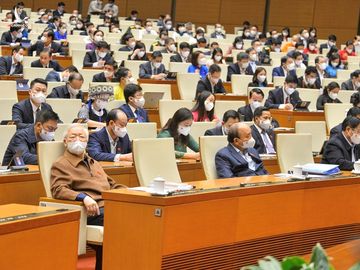 Bác sĩ Nguyễn Lân Hiếu: Cầm tấm bằng khen trong tôi luôn có hai luồng tình cảm trái ngược, vui có nhưng buồn nhiều hơn - Ảnh 1.