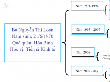  NÓNG: Chủ tịch Vimedimex Nguyễn Thị Loan bị bắt - Ảnh 4.