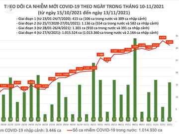 Thêm 8.497 ca COVID-19, giảm nhẹ so với hôm qua - 1