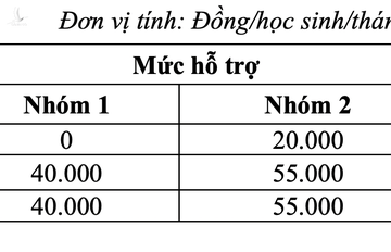 Chính thức: TP.HCM miễn giảm học phí học kì 2 - ảnh 5