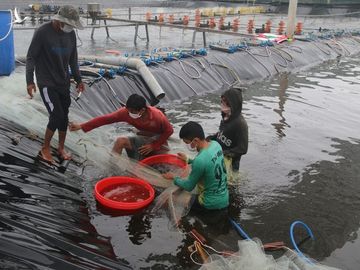 Nhiều người ở Bà Rịa-Vũng Tàu thành đại gia nhờ nghĩ đến sức khỏe người dùng - Ảnh 2.