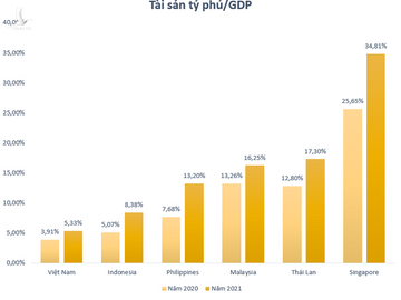  Thấy gì khi tài sản tỷ phú Việt tương đương 5% GDP? - Ảnh 3.