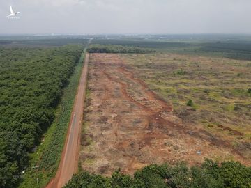 Nam 2023, Dong Nai xay dung 3 tuyen duong ket noi san bay Long Thanh hinh anh 1