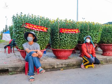 cho hoa Tet vang khach o Da Nang anh 2